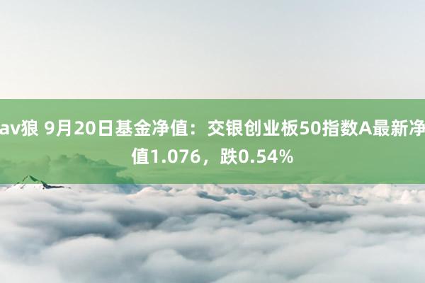 av狼 9月20日基金净值：交银创业板50指数A最新净值1.076，跌0.54%