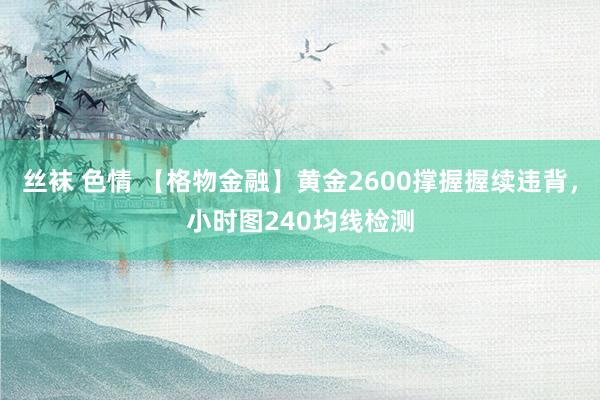 丝袜 色情 【格物金融】黄金2600撑握握续违背，小时图240均线检测