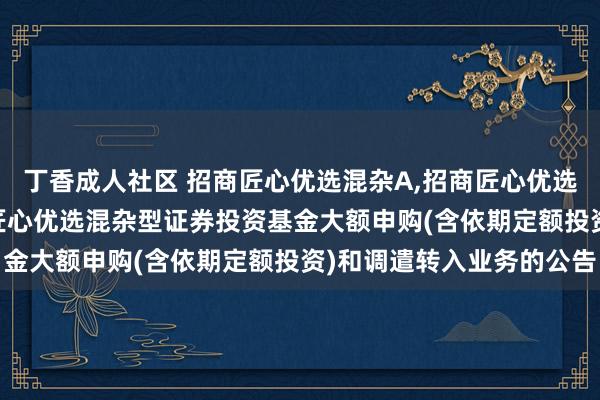 丁香成人社区 招商匠心优选混杂A,招商匠心优选混杂C: 对于暂停招商匠心优选混杂型证券投资基金大额申购(含依期定额投资)和调遣转入业务的公告