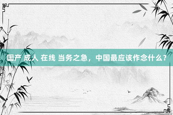 国产 成人 在线 当务之急，中国最应该作念什么？