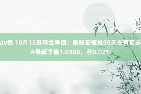 av狼 10月18日基金净值：国联安恒悦90天握有债券A最新净值1.0908，涨0.02%