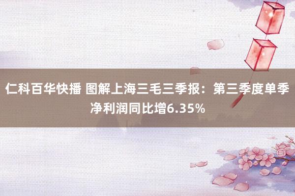 仁科百华快播 图解上海三毛三季报：第三季度单季净利润同比增6.35%