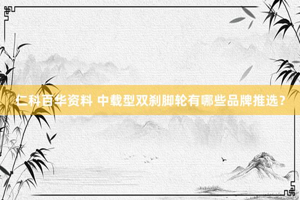 仁科百华资料 中载型双刹脚轮有哪些品牌推选？