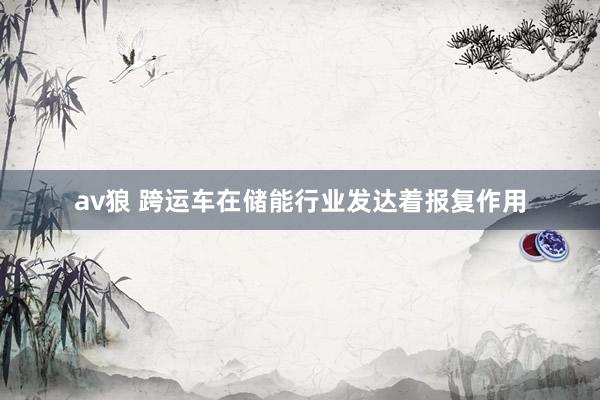 av狼 跨运车在储能行业发达着报复作用