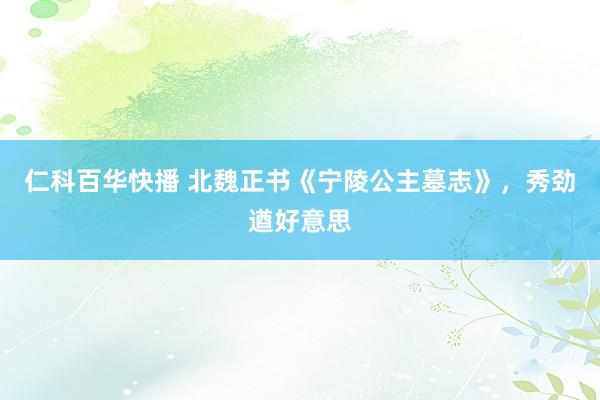 仁科百华快播 北魏正书《宁陵公主墓志》，秀劲遒好意思