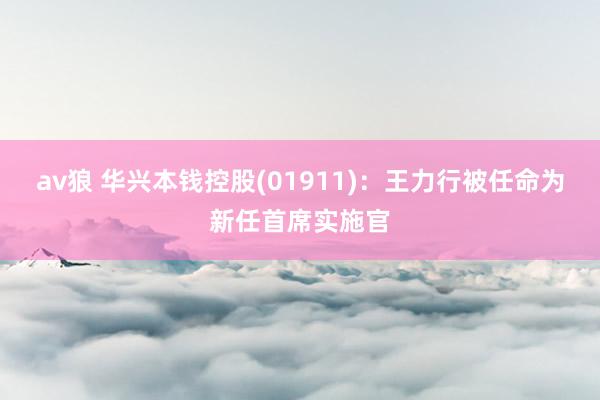 av狼 华兴本钱控股(01911)：王力行被任命为新任首席实施官