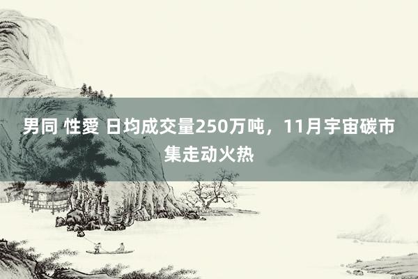 男同 性愛 日均成交量250万吨，11月宇宙碳市集走动火热