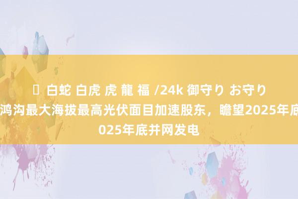✨白蛇 白虎 虎 龍 福 /24k 御守り お守り 大师在建鸿沟最大海拔最高光伏面目加速股东，瞻望2025年底并网发电