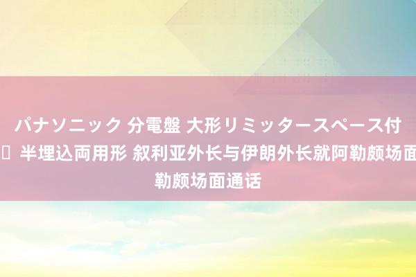 パナソニック 分電盤 大形リミッタースペース付 露出・半埋込両用形 叙利亚外长与伊朗外长就阿勒颇场面通话