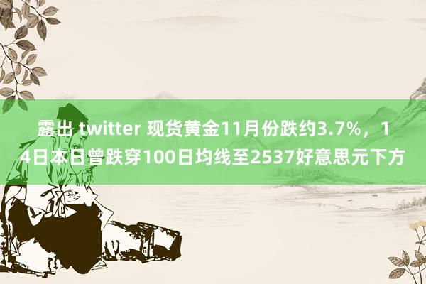 露出 twitter 现货黄金11月份跌约3.7%，14日本日曾跌穿100日均线至2537好意思元下方