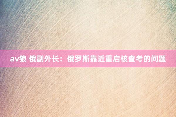 av狼 俄副外长：俄罗斯靠近重启核查考的问题