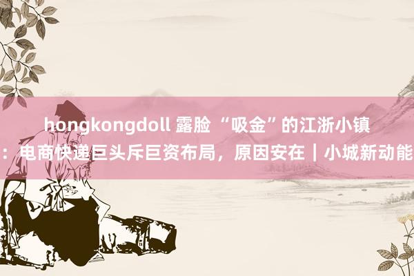 hongkongdoll 露脸 “吸金”的江浙小镇：电商快递巨头斥巨资布局，原因安在｜小城新动能