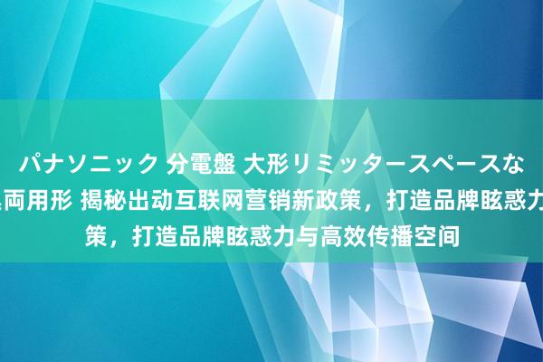 パナソニック 分電盤 大形リミッタースペースなし 露出・半埋込両用形 揭秘出动互联网营销新政策，打造品牌眩惑力与高效传播空间