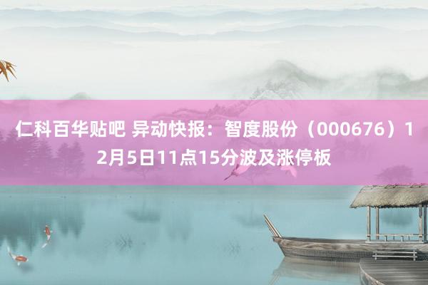 仁科百华贴吧 异动快报：智度股份（000676）12月5日11点15分波及涨停板