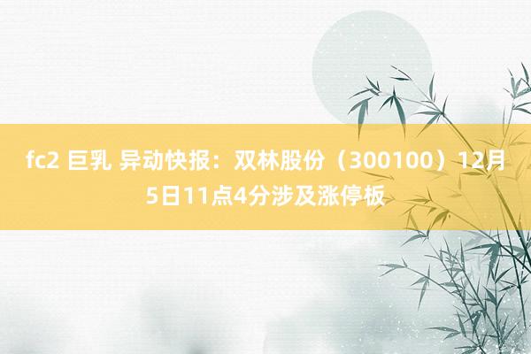 fc2 巨乳 异动快报：双林股份（300100）12月5日11点4分涉及涨停板
