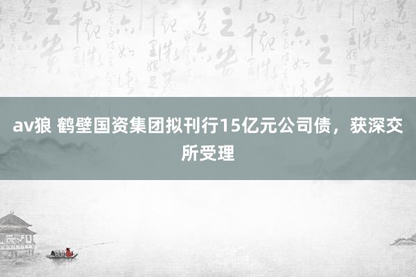 av狼 鹤壁国资集团拟刊行15亿元公司债，获深交所受理