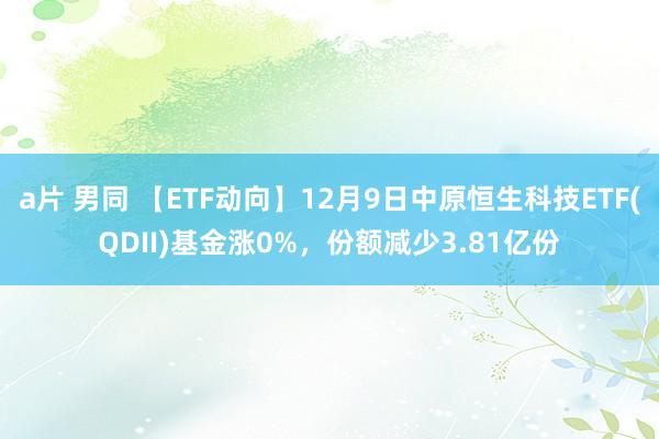 a片 男同 【ETF动向】12月9日中原恒生科技ETF(QDII)基金涨0%，份额减少3.81亿份