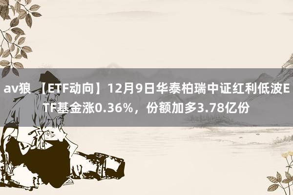 av狼 【ETF动向】12月9日华泰柏瑞中证红利低波ETF基金涨0.36%，份额加多3.78亿份