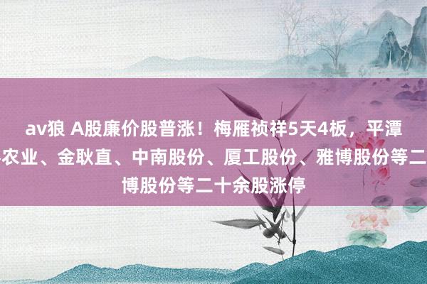 av狼 A股廉价股普涨！梅雁祯祥5天4板，平潭发展、奢睿农业、金耿直、中南股份、厦工股份、雅博股份等二十余股涨停
