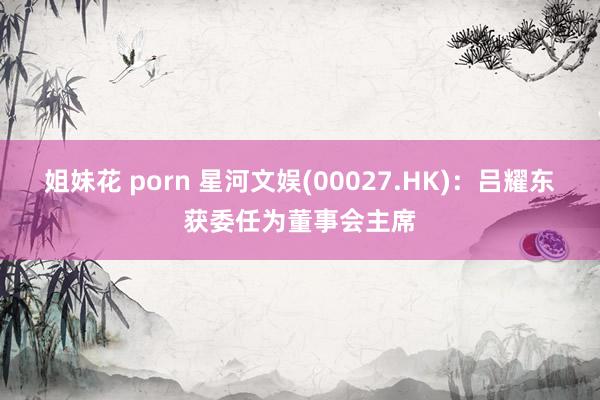 姐妹花 porn 星河文娱(00027.HK)：吕耀东获委任为董事会主席