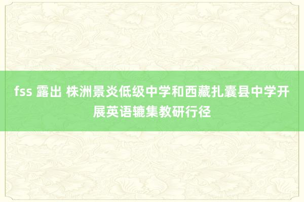 fss 露出 株洲景炎低级中学和西藏扎囊县中学开展英语辘集教研行径