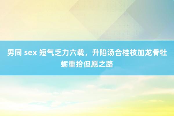男同 sex 短气乏力六载，升陷汤合桂枝加龙骨牡蛎重拾但愿之路
