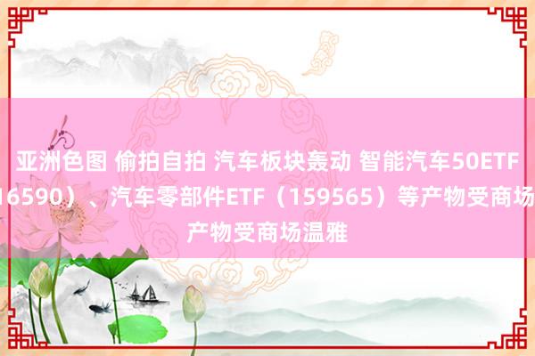 亚洲色图 偷拍自拍 汽车板块轰动 智能汽车50ETF（516590）、汽车零部件ETF（159565）等产物受商场温雅