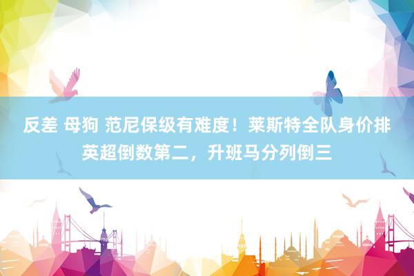 反差 母狗 范尼保级有难度！莱斯特全队身价排英超倒数第二，升班马分列倒三