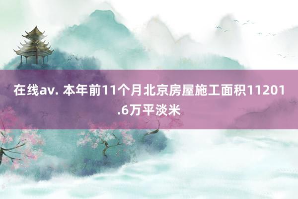 在线av. 本年前11个月北京房屋施工面积11201.6万平淡米