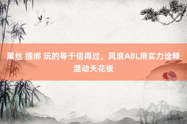 黑丝 捆绑 玩的等于信得过，风浪A8L用实力诠释混动天花板
