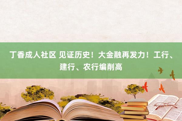 丁香成人社区 见证历史！大金融再发力！工行、建行、农行编削高