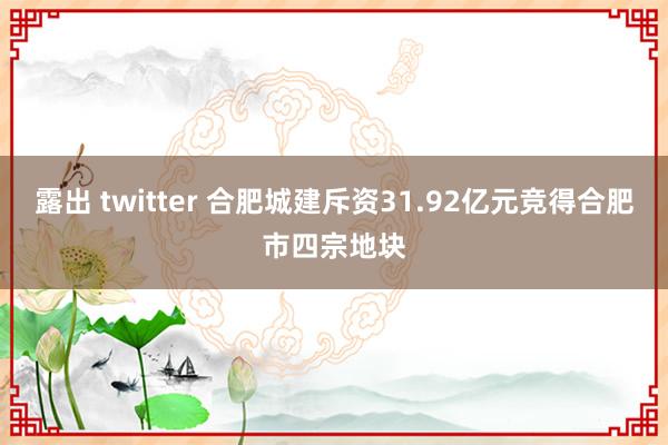 露出 twitter 合肥城建斥资31.92亿元竞得合肥市四宗地块