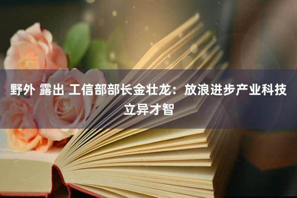 野外 露出 工信部部长金壮龙：放浪进步产业科技立异才智