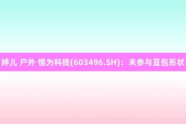 婷儿 户外 恒为科技(603496.SH)：未参与豆包形状
