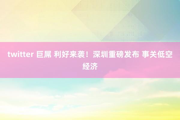 twitter 巨屌 利好来袭！深圳重磅发布 事关低空经济