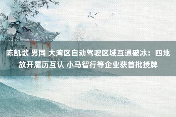 陈凯歌 男同 大湾区自动驾驶区域互通破冰：四地放开履历互认 小马智行等企业获首批授牌