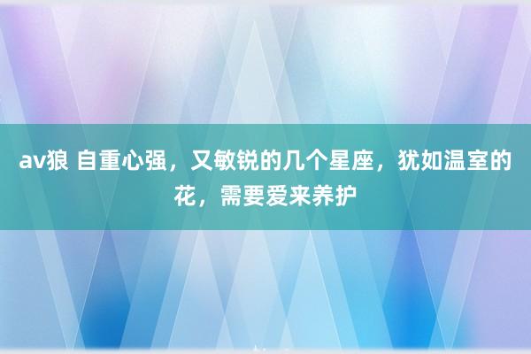 av狼 自重心强，又敏锐的几个星座，犹如温室的花，需要爱来养护