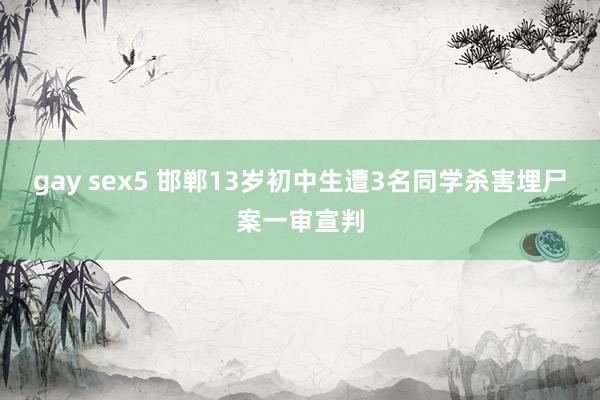gay sex5 邯郸13岁初中生遭3名同学杀害埋尸案一审宣判