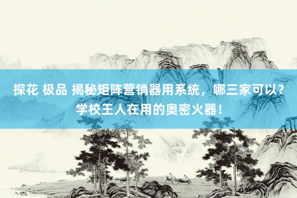 探花 极品 揭秘矩阵营销器用系统，哪三家可以？学校王人在用的奥密火器！