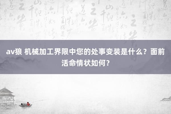 av狼 机械加工界限中您的处事变装是什么？面前活命情状如何？