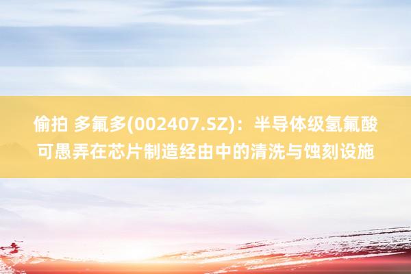 偷拍 多氟多(002407.SZ)：半导体级氢氟酸可愚弄在芯片制造经由中的清洗与蚀刻设施