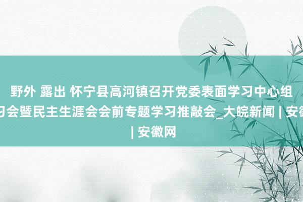 野外 露出 怀宁县高河镇召开党委表面学习中心组学习会暨民主生涯会会前专题学习推敲会_大皖新闻 | 安徽网