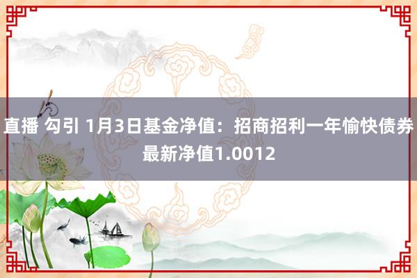 直播 勾引 1月3日基金净值：招商招利一年愉快债券最新净值1.0012