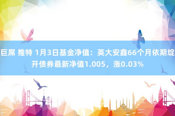 巨屌 推特 1月3日基金净值：英大安鑫66个月依期绽开债券最新净值1.005，涨0.03%