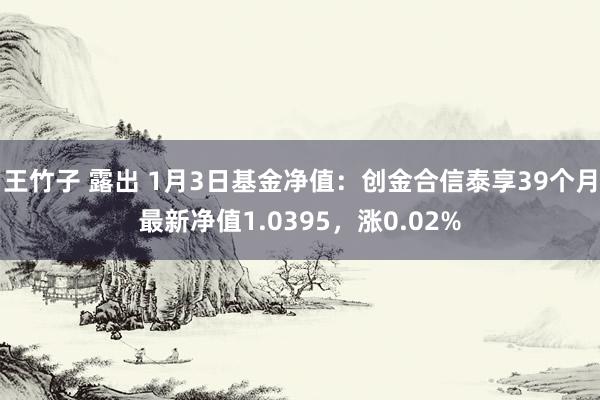 王竹子 露出 1月3日基金净值：创金合信泰享39个月最新净值1.0395，涨0.02%