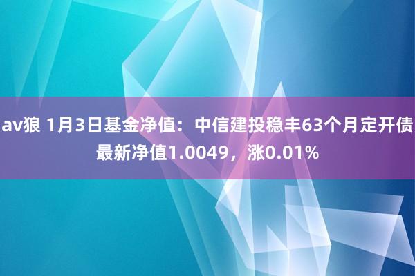 av狼 1月3日基金净值：中信建投稳丰63个月定开债最新净值1.0049，涨0.01%
