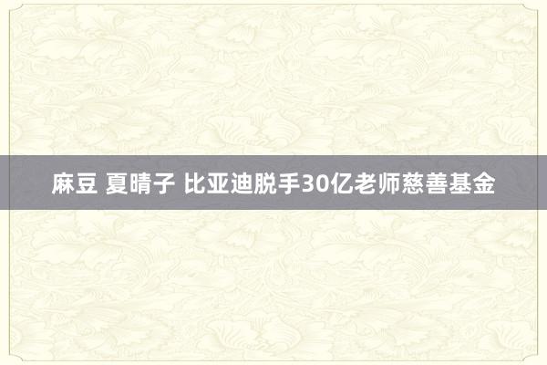 麻豆 夏晴子 比亚迪脱手30亿老师慈善基金