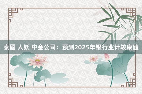 泰國 人妖 中金公司：预测2025年银行业计较康健
