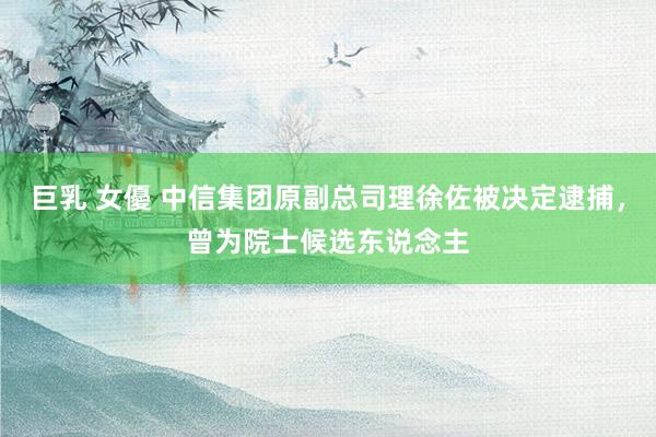 巨乳 女優 中信集团原副总司理徐佐被决定逮捕，曾为院士候选东说念主