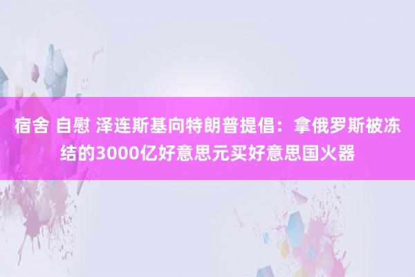 宿舍 自慰 泽连斯基向特朗普提倡：拿俄罗斯被冻结的3000亿好意思元买好意思国火器